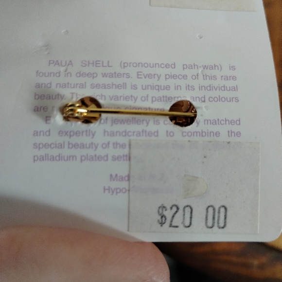 Pin Paua shell. - Picture 2 of 2